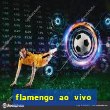 flamengo ao vivo hd play